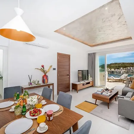 New Luxury Penthouse *